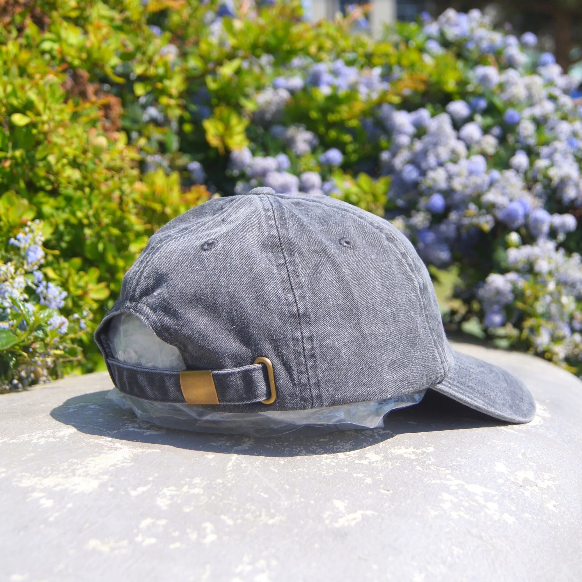 Alt Distressed Cap