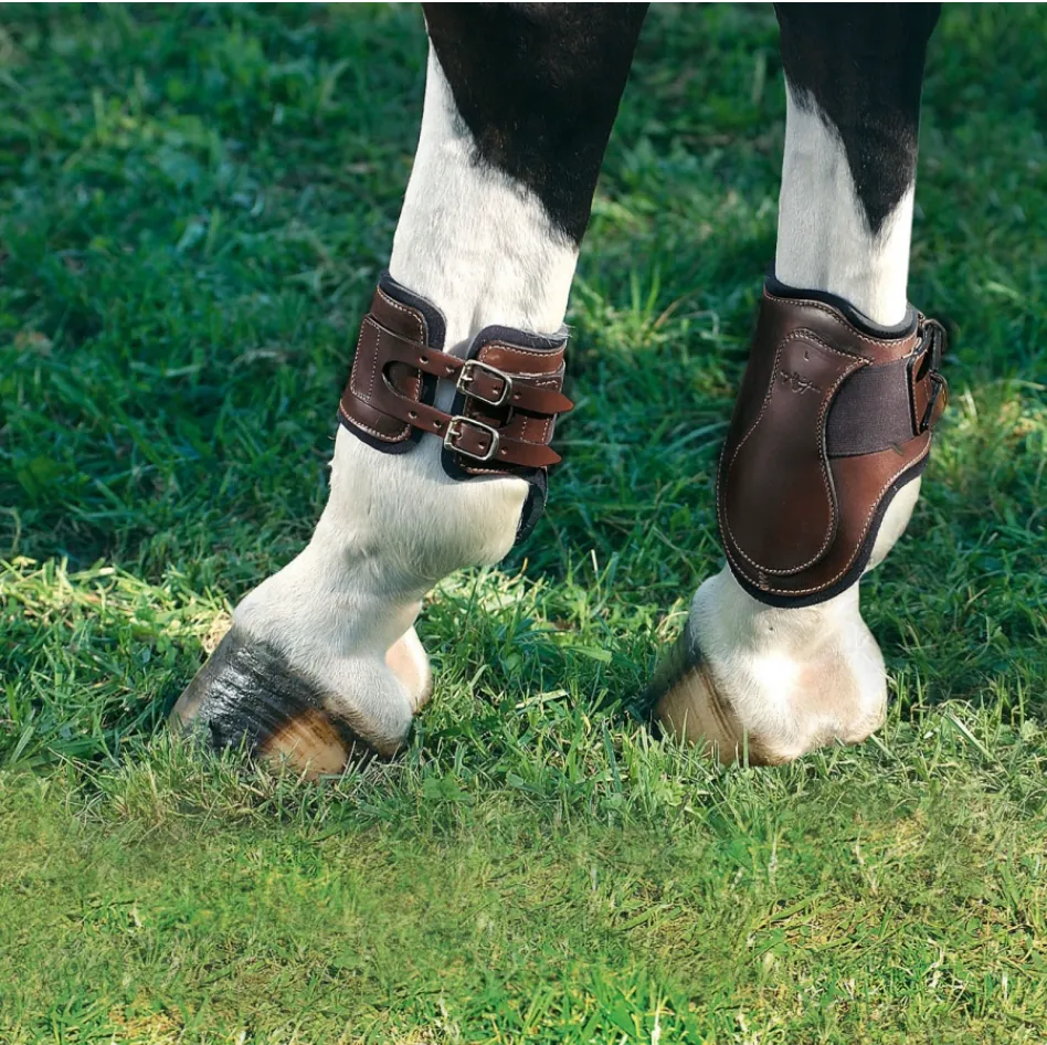 FETLOCK BOOT NEOPRENE LINED BUCKLES