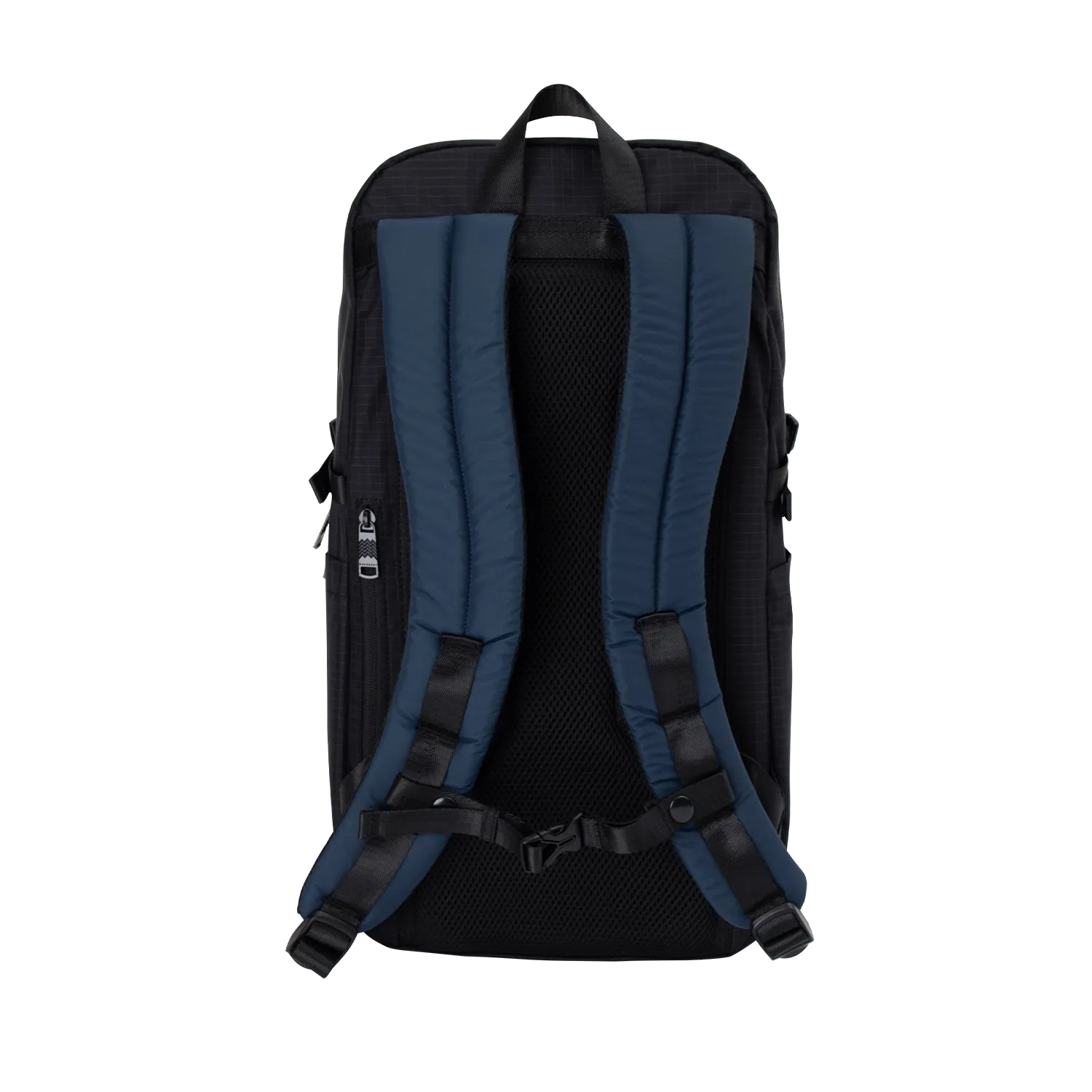 Hypatia Street Cruise Series Backpack