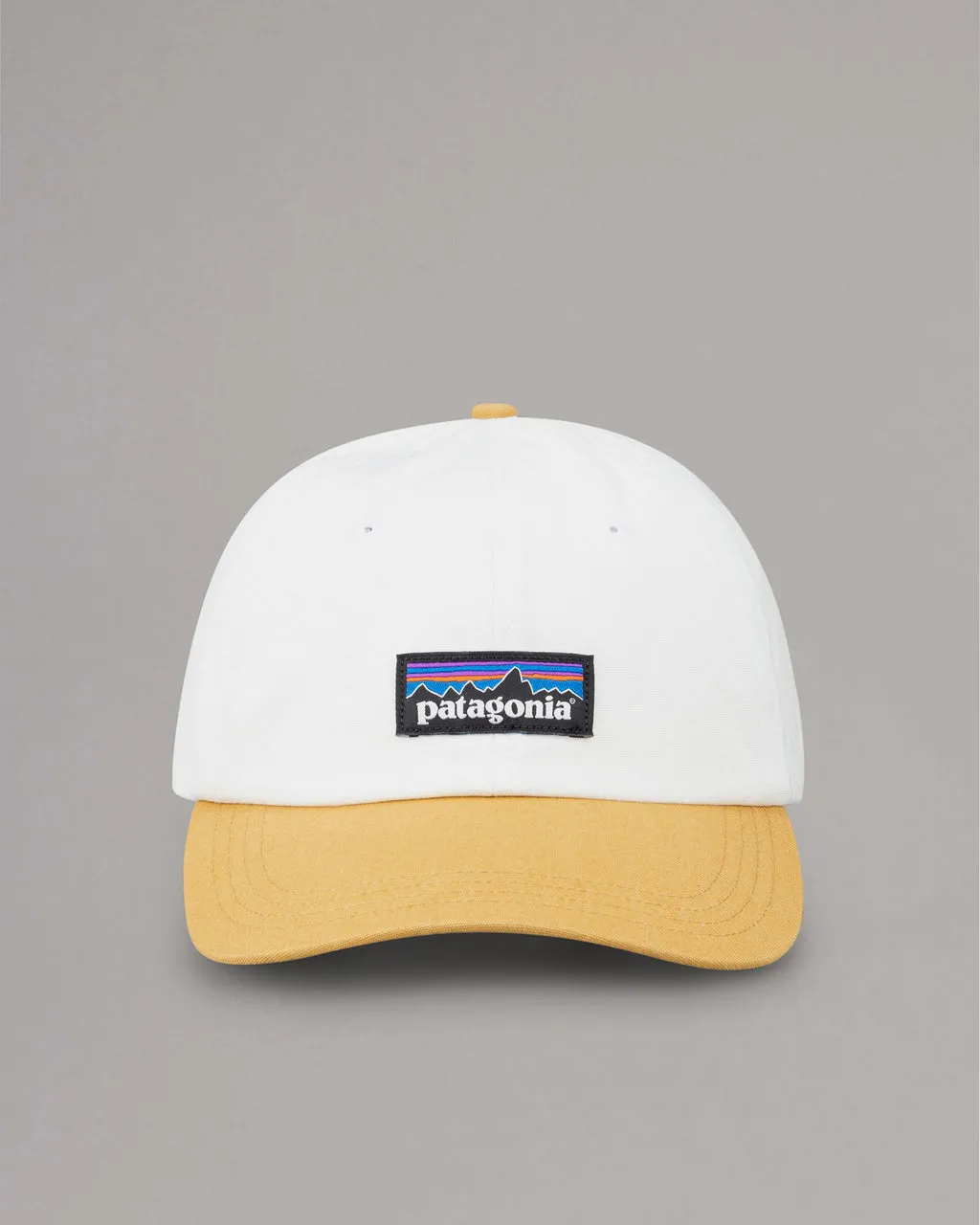 PATAGONIA Trucker Cap