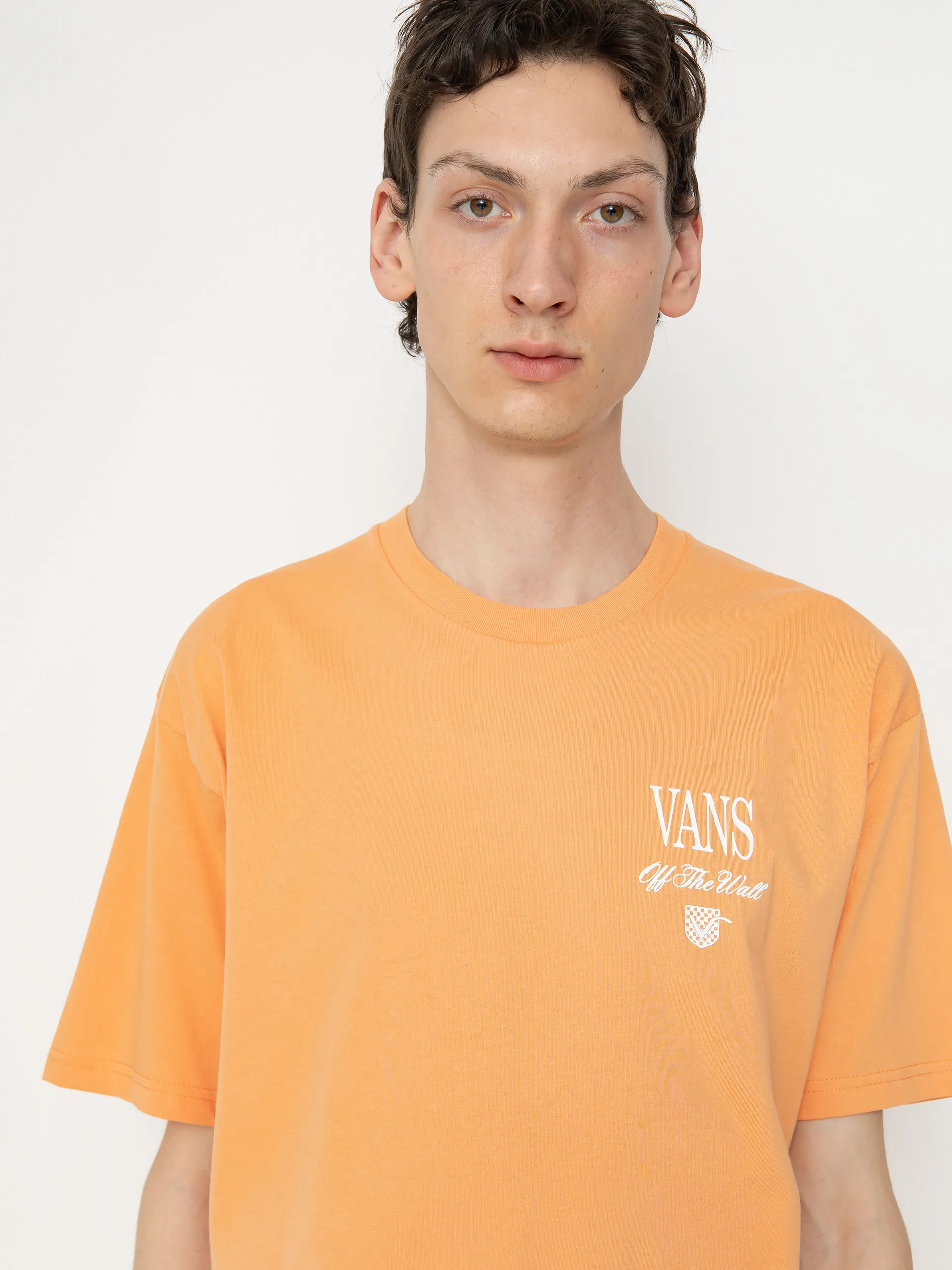 Vans Holmdel T-Shirt (copper tan)